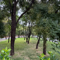 Çocuk bakıcısı,  Fatma, FATIH
