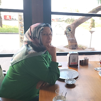 Ev işlerine yardımcı,  Hava, DARICA