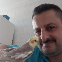 Şoför,, Hisarcık Sok., USKUDAR, Murat