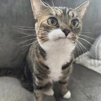 Housekeepers, İpek, KAGITHANE