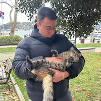 Evcil hayvan bakıcısı,  Mert, ETIMESGUT